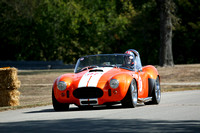 07Cobra 2022 Sat Track Bo Gray_2hi res