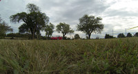 G0023610