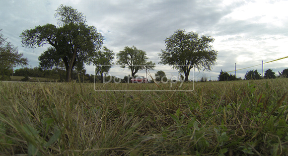 G0023620