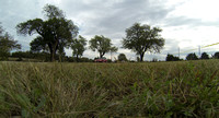 G0023621