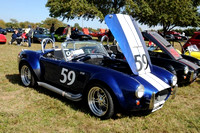 Blue Cobra 59