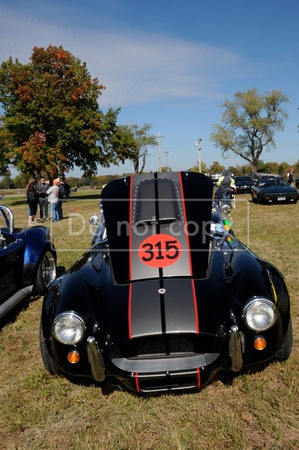 Black Cobra 315